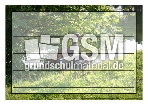 Schmuckrahmen-Nilgans-3.pdf